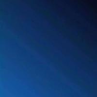 我们始终孤独。只需要陪伴。不需要相爱。