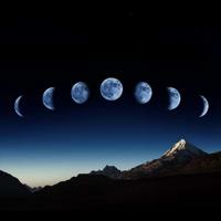 情人节经典语录 抖音最火的经典语录