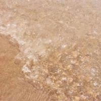 (校园爱情文章)爱,近在咫尺,却远在天边