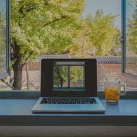 一句佛语经典语录大全|佛语句子