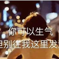 张小娴经典爱情语录、经典励志语录、经典语录全集
