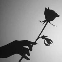 看低自己的智慧