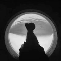 有关年轻的美文摘抄