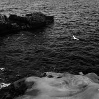 苦苦等待3年的感情,最终等到的只是一场空,我该怎么办?