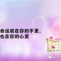 梧桐树下(上)