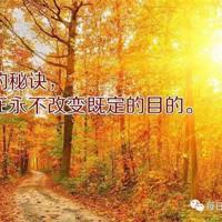 想对家人说的一句话说说:真正的失去后,才会懂得珍惜