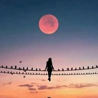 感悟人生的哲理句子唯美简短,感悟短句