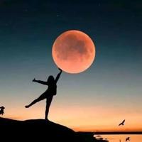 睡前晚安一句话6个字，晚安句子