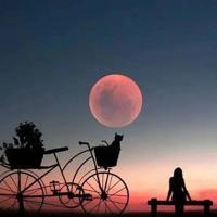 有些爱情想放放不下的伤感语录:遇见你之后我只想对你说情话