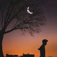 有颗不善用言词表达的心 一颗最爱我的心