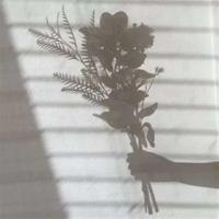 我想要和妳一起慢慢变老。追女孩的说说