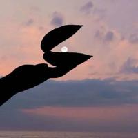 周恩来语录，名人语句，经典语录