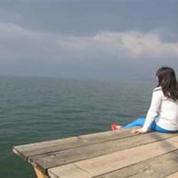 《惟愿与君生如夏花般绚丽》