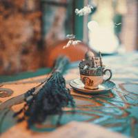 洪晃最新经典语录 感情和友情都是经不起考验的,不要去考验