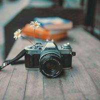 一句惹人发笑的搞笑个性签名|搞笑一句话