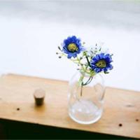 80后素婚夫妻的幸福小样