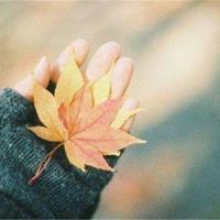 (校园爱情文章)爱情手语-等你说爱我