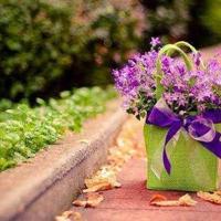 那些年我们写过的情书