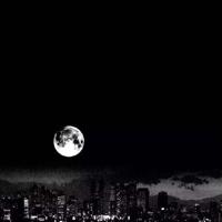 关于亦舒的经典语录 无论做什么,记得为自己而做,那就毫无怨言