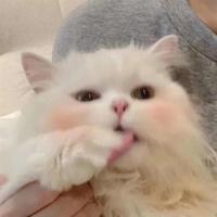 一个故事告诉你、什么叫做珍惜!