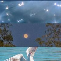 时光永远不会逆行,把握好每一个属于自己的清晨。