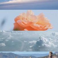 有多少爱就有多少幸福