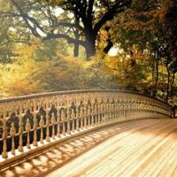 张瑞敏经典语录、张瑞敏名人语录