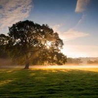 表达心情好的句子100句|心情一句话