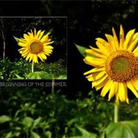 最新经典励志语句 不要等待机会,而要创造机会