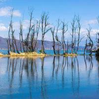 唯美古风句子60句_意境一句话