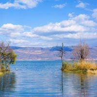 100句意味深长的心情语录/心情短语