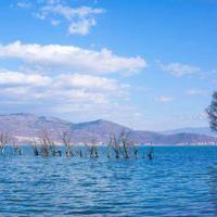 爱的力量 好文章