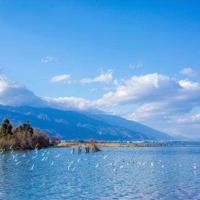 守着自己让她历经沧桑让她优雅绽放