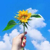 晚安正能量简短一句话|晚安句子