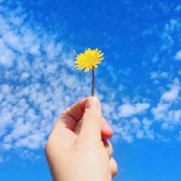 精选伤感的句子短句/伤感语录