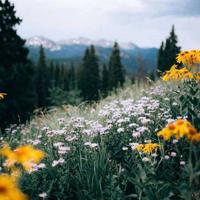 致自己的励志短句,励志句子