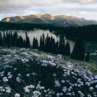 精选关于人生哲理的名言100句