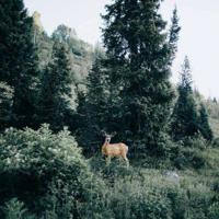 关于郭德纲最新的经典语录欣赏