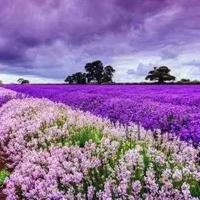 韩寒1988经典语录、韩寒励志经典语录