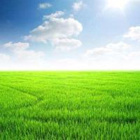 世界之大你可知我只在乎你