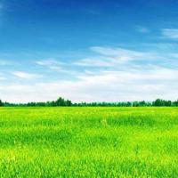 烟花易冷人事易分