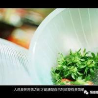 人生感悟的经典佛语大全|人生句子