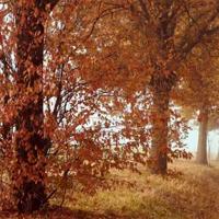 笑着数完烦恼的念珠