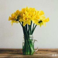 关于写马的精选诗句,马短句