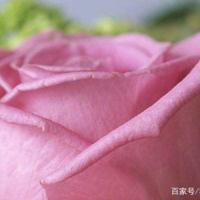 你不来,我一个人独享。只是,少了你,多了份惆怅。