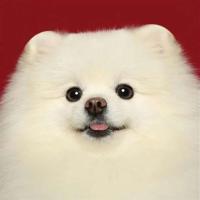 早安心灵鸡汤励志语录_早安短语