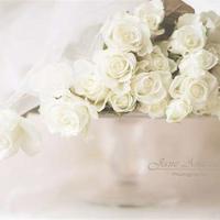 人生有两种境界,一种是痛而不言,一种是笑而不语。