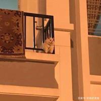 好看简单的歌词文字图片 看不见你的笑 我怎么睡得着