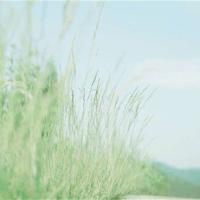 爆笑女人的秘密:深层透析女人88个秘密