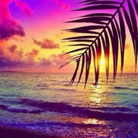 一句搞笑签名超拽简短,搞笑短句